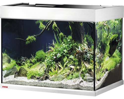 Eingerichtetes Aquarium mit Pflanzen, Wurzeln und Steinen