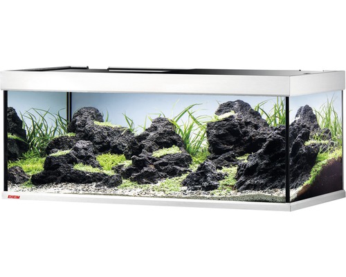 Eingerichtetes Aquarium mit Steinen und Pflanzen
