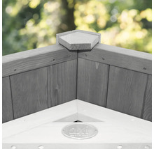 Detailansicht eines Holzhauses mit AXI by PARASOL Logo.