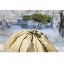 Pflanze mit Winterschutzhülle