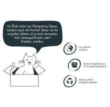 Illustration einer Katze in einem Karton mit Hinweisen zur Nachhaltigkeit der Verpackung