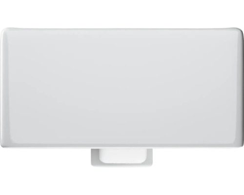 Betätigungsplatte für Spülkasten