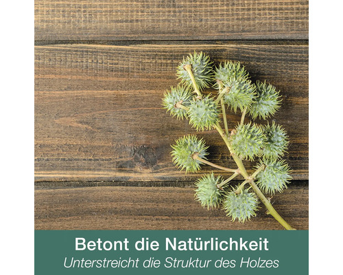 Holzstruktur mit einem Zweig der Rizinuspflanze