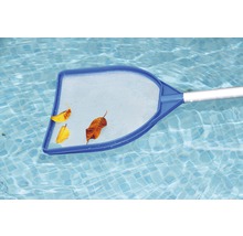 Poolkescher mit Laub im Schwimmbecken