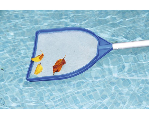 Poolkescher mit Laub im Schwimmbecken