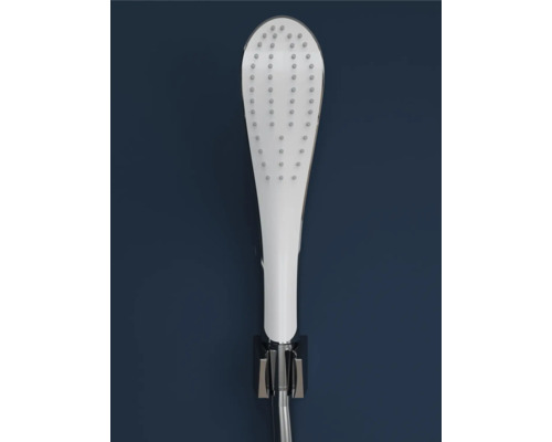 Handbrause mit Halterung und Brauseschlauch