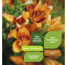 Pflanzennahrung FloraSelf Nature BIORGA organischer Dünger 1 L vegan-thumb-1 Pflanzennahrung FloraSelf Nature BIORGA organischer Dünger 1 L vegan-thumb-1