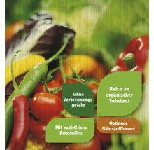 Tomaten- & Gemüsedünger FloraSelf Nature BIORGA 1 L-thumb-1