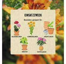 Pflanzennahrung FloraSelf Nature BIORGA organischer Dünger 1 L vegan-thumb-3 Pflanzennahrung FloraSelf Nature BIORGA organischer Dünger 1 L vegan-thumb-3