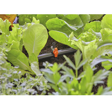 GARDENA Micro-Drip-System Regulierventil 5 Stk.-thumb-2 GARDENA Micro-Drip-System Regulierventil 5 Stk.-thumb-2