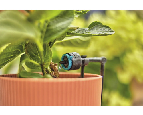 Tropfbewässerung im Pflanzgefäß zur dosierten Wasserabgabe an Pflanzen