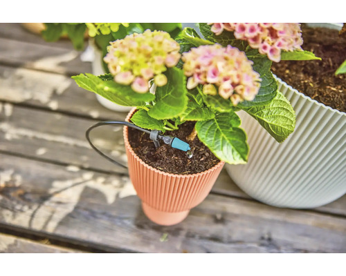 Blumentopf mit Bewässerungssystem und blühender Pflanze auf Holzuntergrund