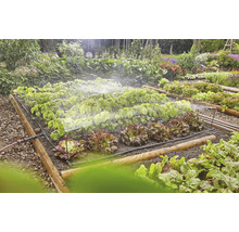 Bewässerungssystem in einem Gemüsegarten mit Salat und anderen Pflanzen.