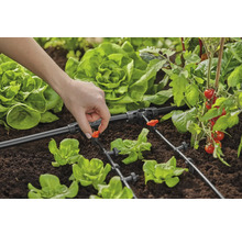 Gartenbewässerungssystem mit Tropfschlauch und Gemüsepflanzen im Beet