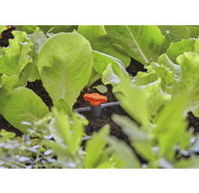 Bewässerungssystem mit Salatpflanzen im Gartenbeet