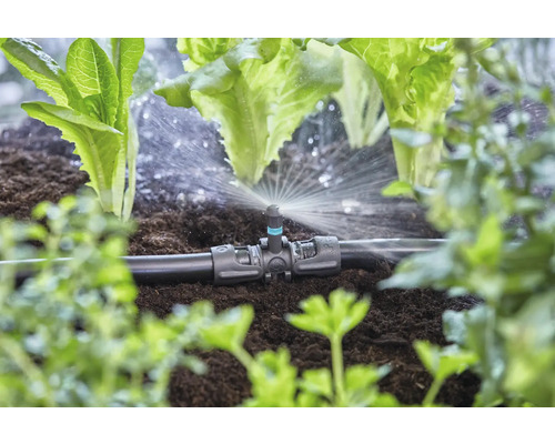Bewässerungssystem mit Sprinkler im Gemüsegarten