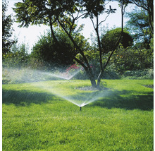 Rasenbewässerung mit Sprinklern in einem Garten