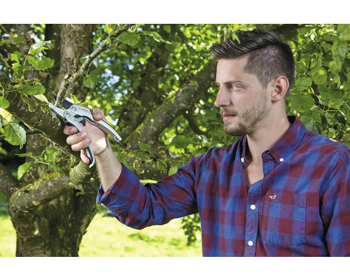 Mann schneidet Äste mit einer Gartenschere.