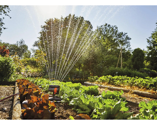 Gartenszene mit Gemüsegarten und Rasensprenger in Betrieb