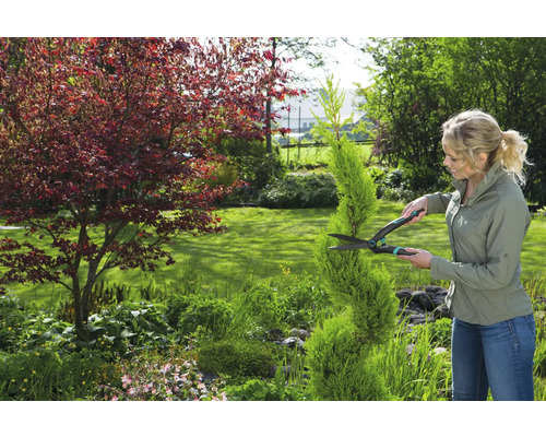 Frau schneidet Hecke mit einer Heckenschere im Garten.