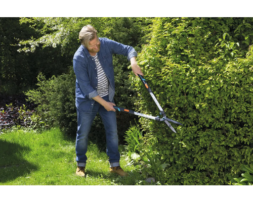 Mann schneidet Hecke mit Heckenschere im Garten.