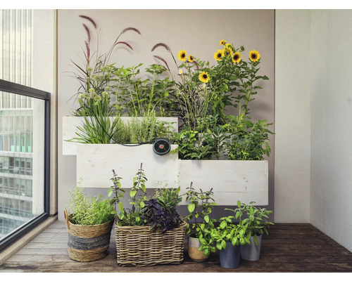Gestapelte Pflanzkästen mit Kräutern und Sonnenblumen auf einem Balkon.