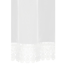 Gardine mit Spitzenabschluss