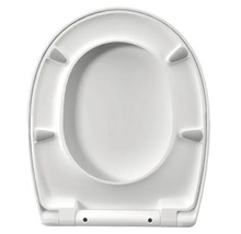 Toilettendeckel aus Kunststoff