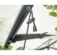 Pflanzenlampe Palram – Canopia Brighton LED-Wachstumslicht höhenverstellbar-thumb-6 Pflanzenlampe Palram – Canopia Brighton LED-Wachstumslicht höhenverstellbar-thumb-6