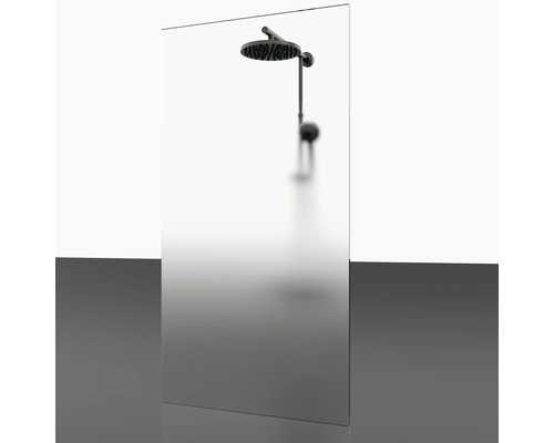 Walk-In Dusche mit Duschkopf und Duscharm