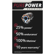 Reiner Brushless-Motor mit Angaben zu Leistung, Lebensdauer und Garantie