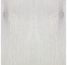 Helle Holzstruktur Nahaufnahme