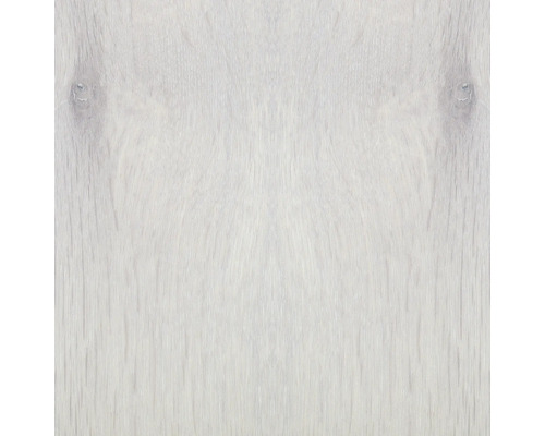 Helle Holzstruktur Nahaufnahme