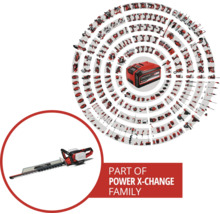 Darstellung des Power X-Change Akkusystems mit Akku und Heckenschere