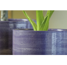 Nahaufnahme von zwei Pflanzgefäßen