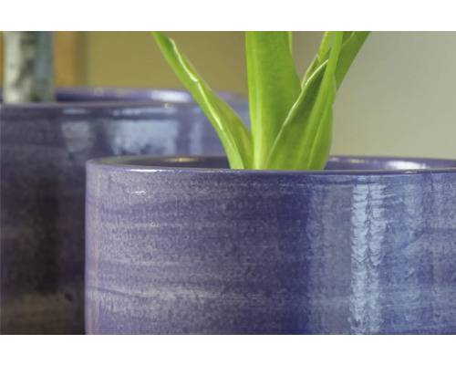 Nahaufnahme von zwei Pflanzgefäßen