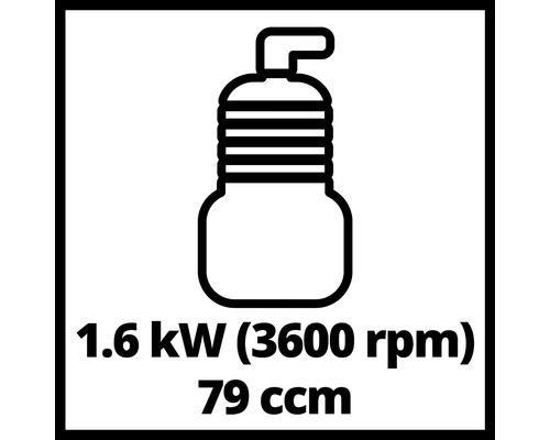 Symbol für 1,6 kW Leistung bei 3600 Umdrehungen pro Minute und 79 ccm Hubraum