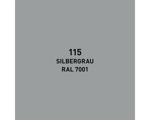Farbmuster Silbergrau 115 RAL 7001