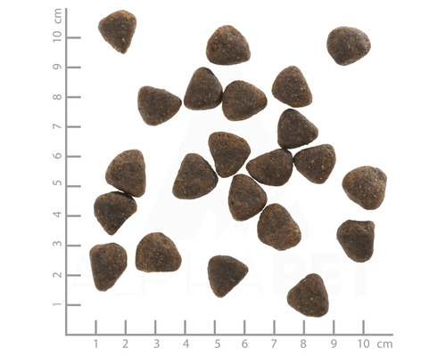 Braunes Hundetrockenfutter mit Größenangabe in Zentimetern