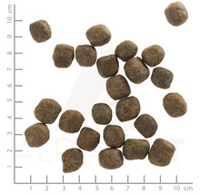 Trockenfutter für Hunde mit Zentimeter-Skala