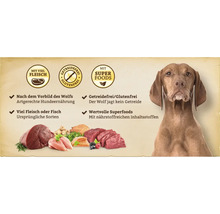 Hund mit Hundeernährung mit Fleisch, Fisch, Superfoods sowie Getreidefrei Siegel