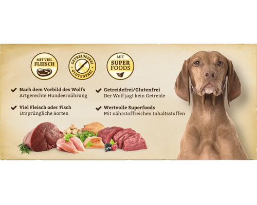 Hund mit Hundeernährung, reich an Fleisch, getreidefrei und mit Superfoods