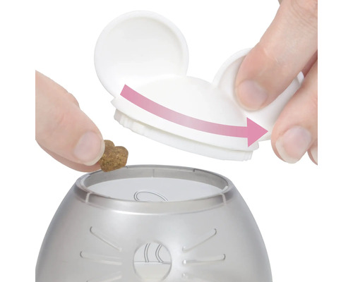 Befüllen eines Futterspenders für Katzen mit Trockenfutter.