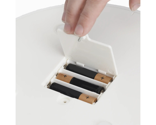 Batteriefach mit Batterien