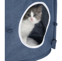 Katze im Katzenhaus