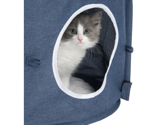 Katze im Katzenhaus