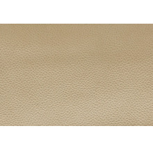 Barhocker Mayer Sitzmöbel 1243_30488 42x49x83 cm Gestell edelstahl gebürstet Sitz Polyester beige-thumb-3 Barhocker Mayer Sitzmöbel 1243_30488 42x49x83 cm Gestell edelstahl gebürstet Sitz Polyester beige-thumb-3
