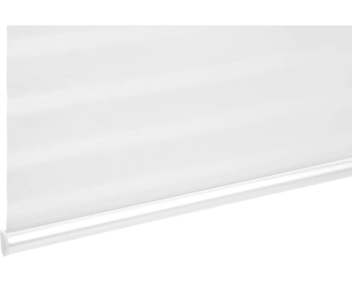 Fensterrollo