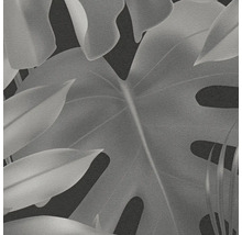 Nahaufnahme einer Tapete mit Monstera-Blattmotiv