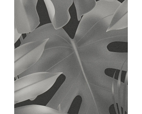 Nahaufnahme einer Tapete mit Monstera-Blattmotiv